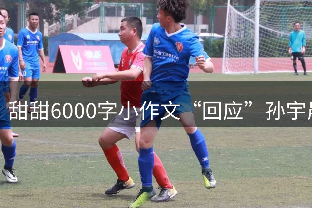 甜甜6000字小作文“回应”孙宇晨：《我的男友孙哥》