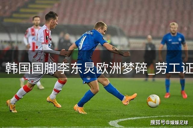 韩国国脚李东炅欧洲梦碎 劳工证问题致英冠转会流产